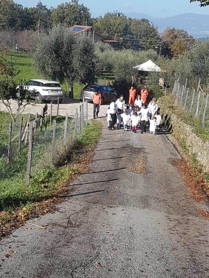 Bed & Breakfast Tenuta Martino *