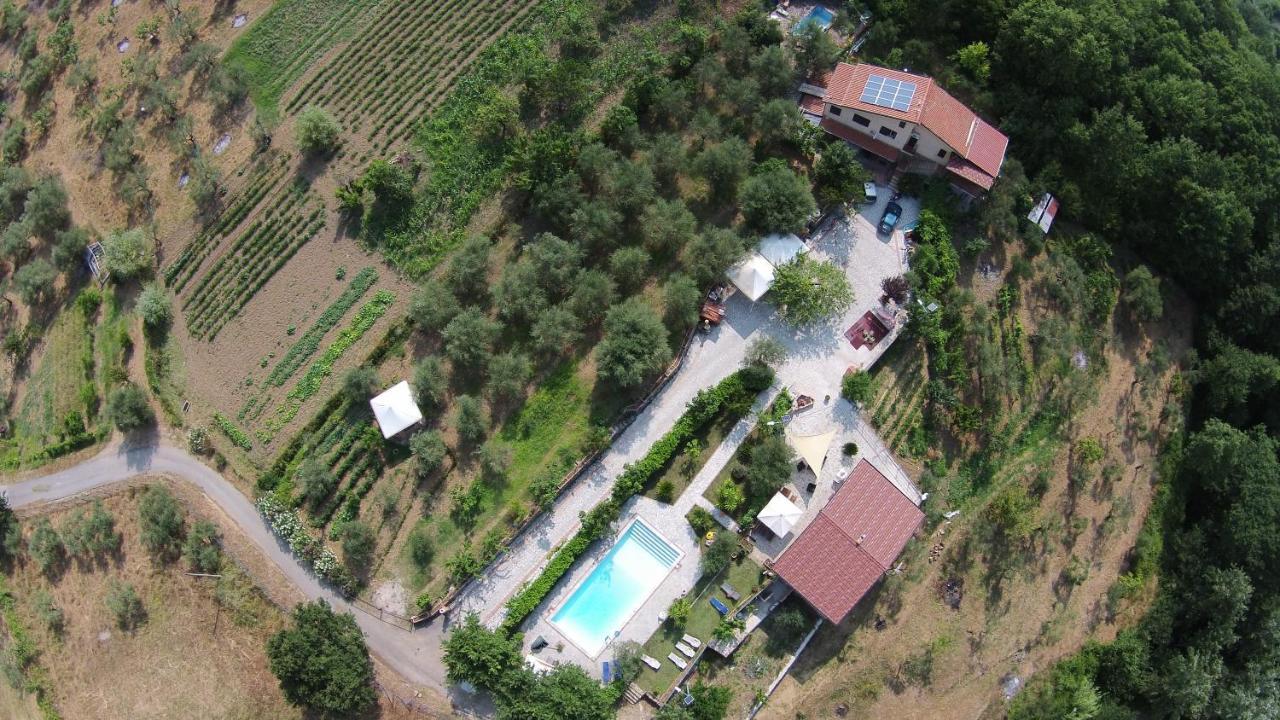 Tenuta Martino * Aquara